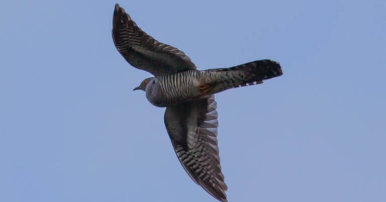 English Learning Tips: 50+ Proven Strategies to Master English in 2025